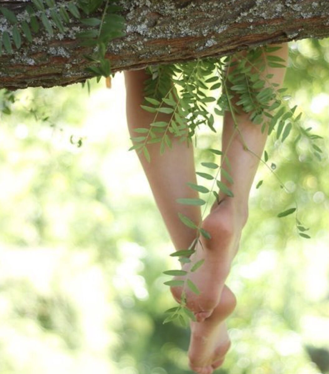 Réflexologie plantaire à Montpellier et Castelnau-le-Lez. Une approche de bien-être pour favoriser la détente et accompagner le confort digestif des seniors, en complément d'un suivi médical.